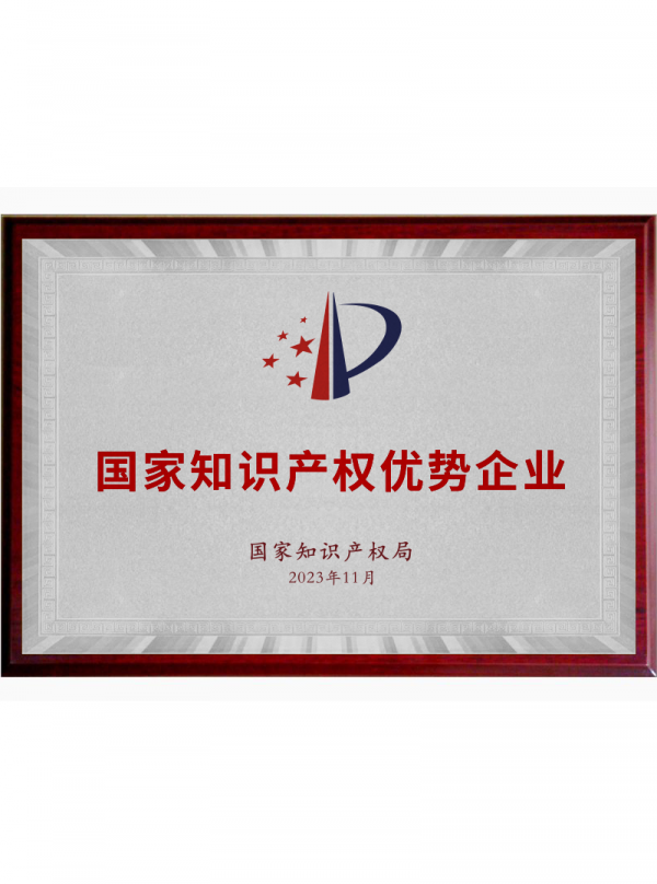 National Intellectual Property Advantage Enterprise